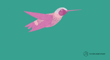 Animation Flying GIF by The Explainer Studio