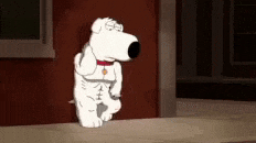 Family Guy GIF