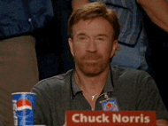 Giphy - chuck norris approved GIF