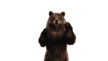 Winter Olympics Bear Sticker by PetroCanada