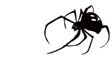 Spider Crawl Sticker by Taikan
