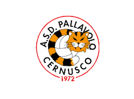 Cernusco Sul Naviglio Team Sticker by PallavoloCernusco