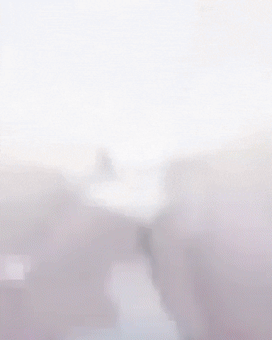 Jjk GIF by MSR Media Network