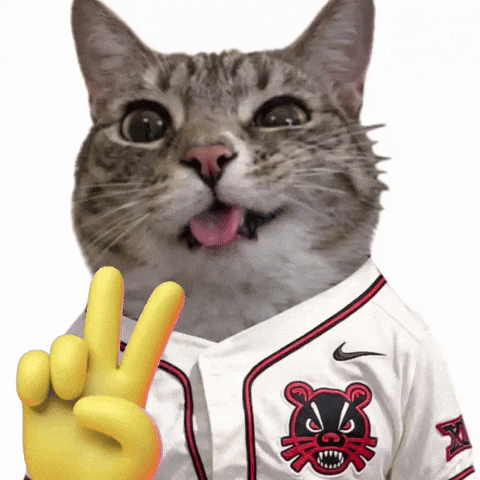 Bearcats Baseball Cat Meme GIF by Bearcat