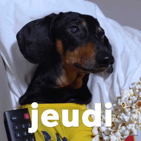 French Jeudi GIF by Sealed With A GIF