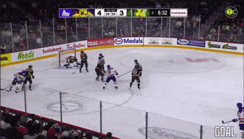 Moncton Wildcats GIF