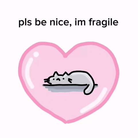 Sad Cat GIF