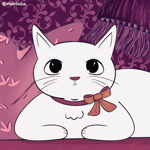 Freaky kittehs - Animal Gifs - gifs - funny animals - funny gifs