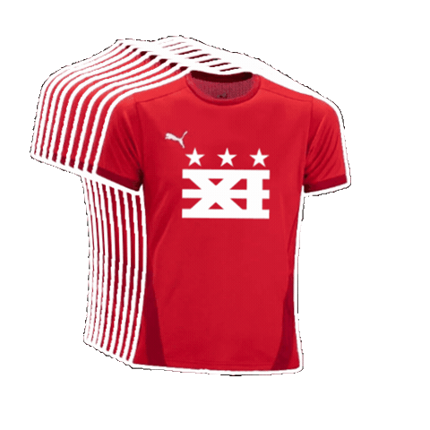 DCXI Sticker