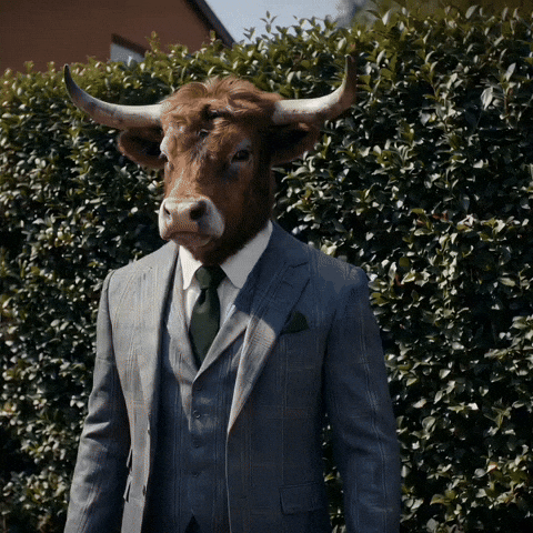 Cowley GIF by Levels Protein