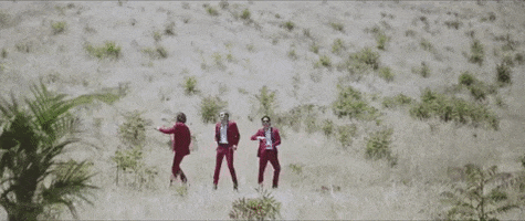 GIF by The Marias
