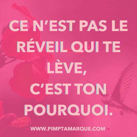 Business Canada GIF by PIMP TA MARQUE