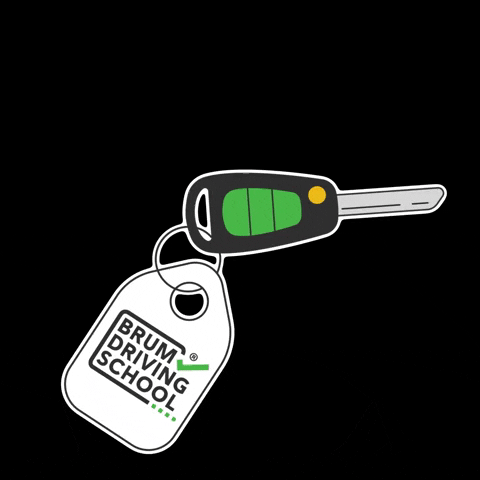 brumdrivingschool key keys birmingham keyring GIF