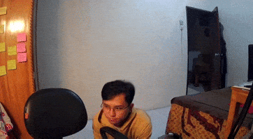 Bear GIF