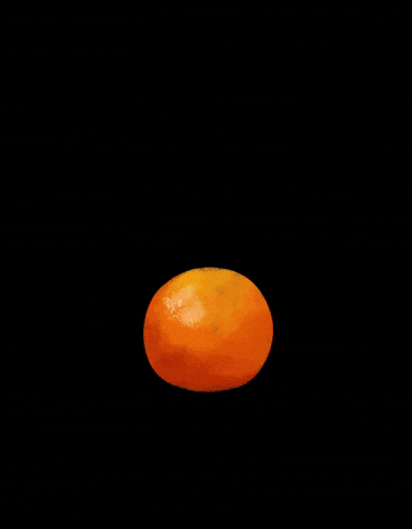 Orange GIF