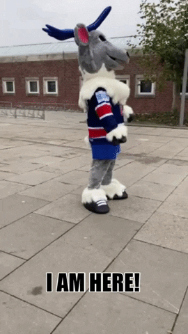 Rungsted Seier Capital GIF