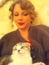 Taylor swift cat GIFs , Get the best GIF on GIPHY