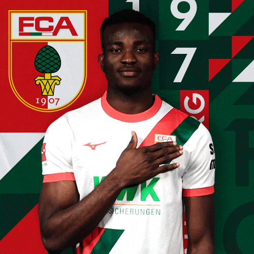 Logo Bundesliga GIF by FC Augsburg 1907