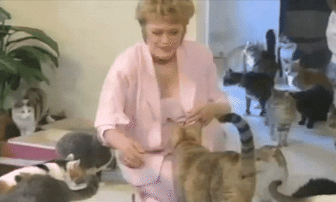 Cat Lady Pet GIF - Find & Share on GIPHY
