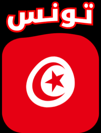 Tunisia Flag GIF by Jawal Games