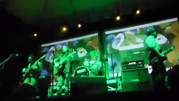 luisfalejos guatemala banda en vivo claudia armas GIF