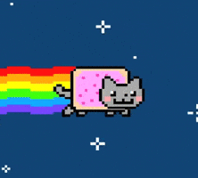 rainbow pop tart cat in outerspace