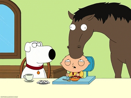 Funny Horse Cartoon Animated GIFs Collection | GraphicMama