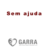 Ajuda GIF by GARRA