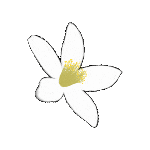 Flower Sticker