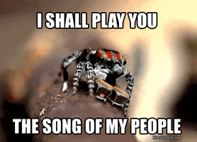 Spider Gif