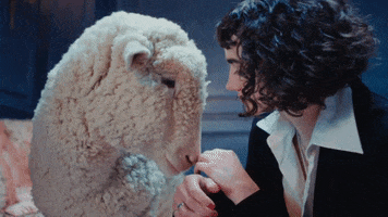 Music Video Sheep GIF by Sir Chloe