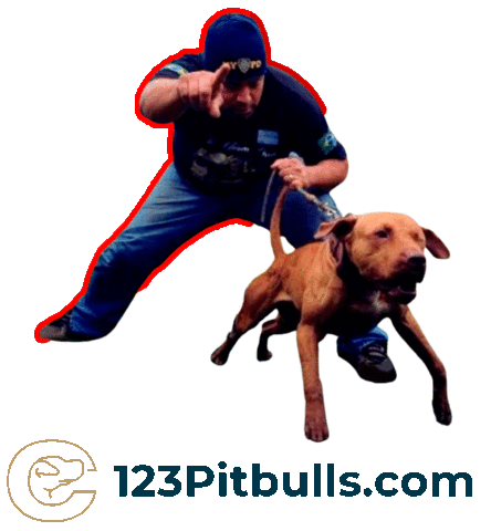 Pitbull Apbt Sticker by Chico Lopez