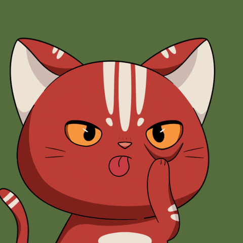 Happy Cats GIF by Kitaro World