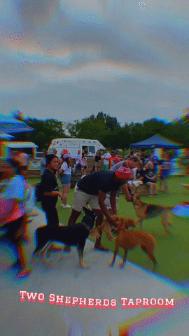 Fetch Social GIF