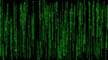 matrix GIF