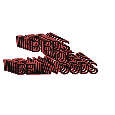Birds of Bellwoods Sticker