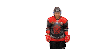 Les Aigles de Nice Sticker