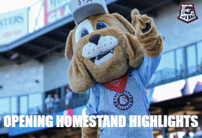 GIF by Round Rock Express