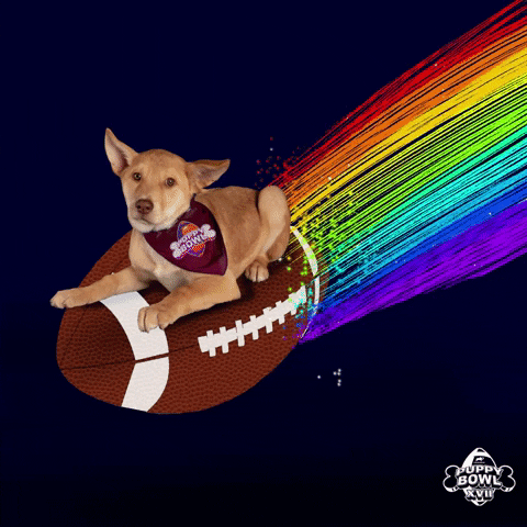 Football Flying GIF by Puppy Bowl