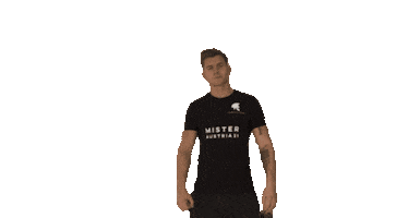 Roman Schindler Sticker