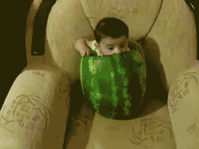 Risultati immagini per rotten watermelon  gif