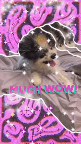 Wow GIF
