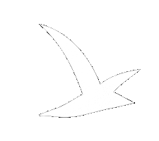 Mouette Sticker by Saint Benoît