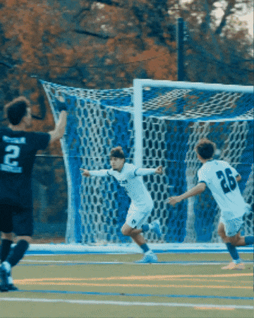 Soccer Celebration GIF by framesllc