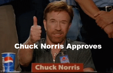 Image result for chuck norris gif