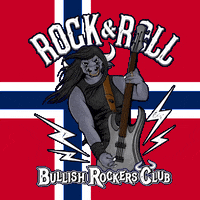 Rock And Roll Guitar GIF by BullishRockers
