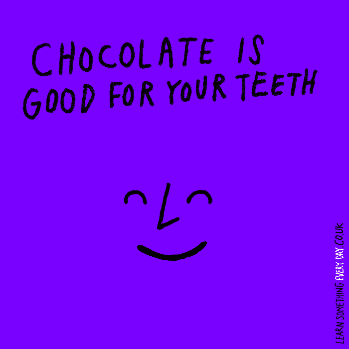 chocolate lol GIF by Learn Something Every Day