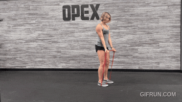 Banded Bicep Curl GIF