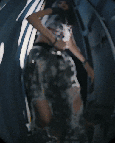 Chequered Flag Lee GIF