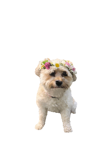 GörDetMedRQW Sticker